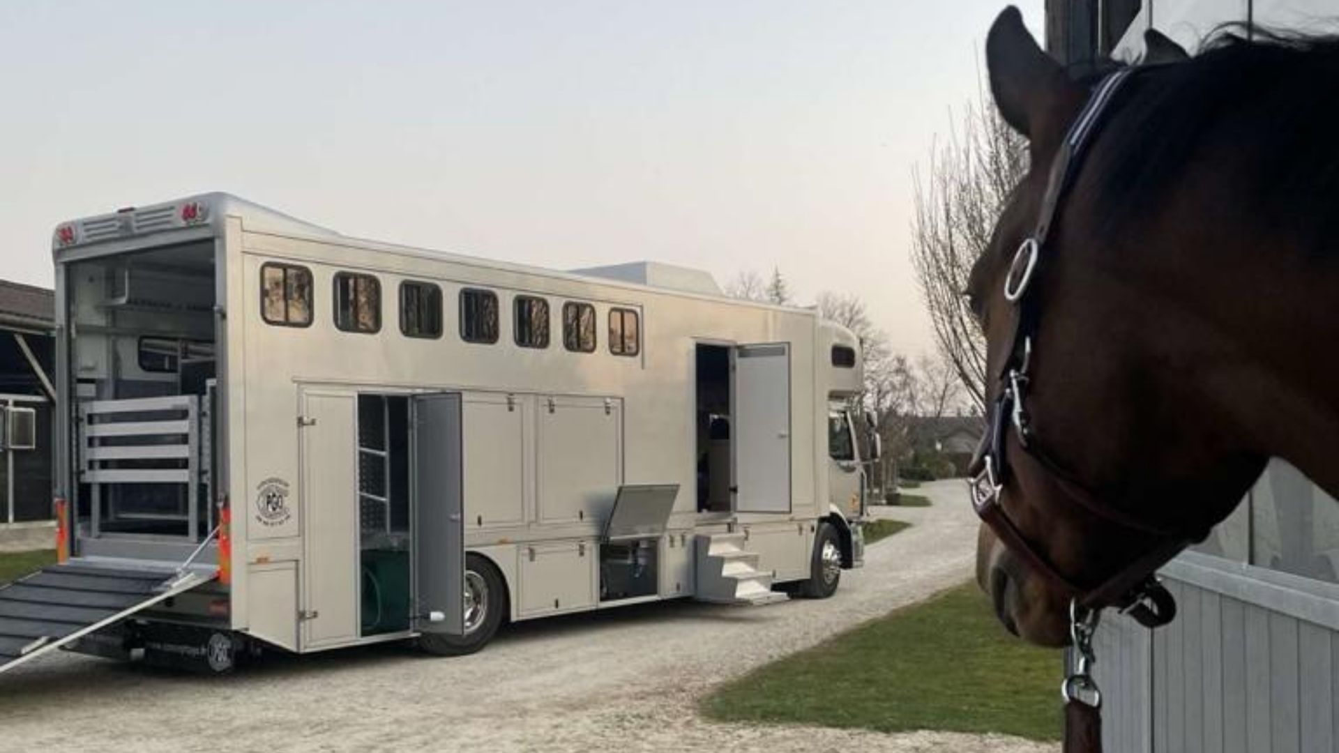 camion chevaux conceptpgo horse truck