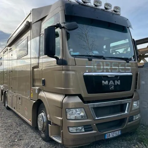 camion chevaux pl 