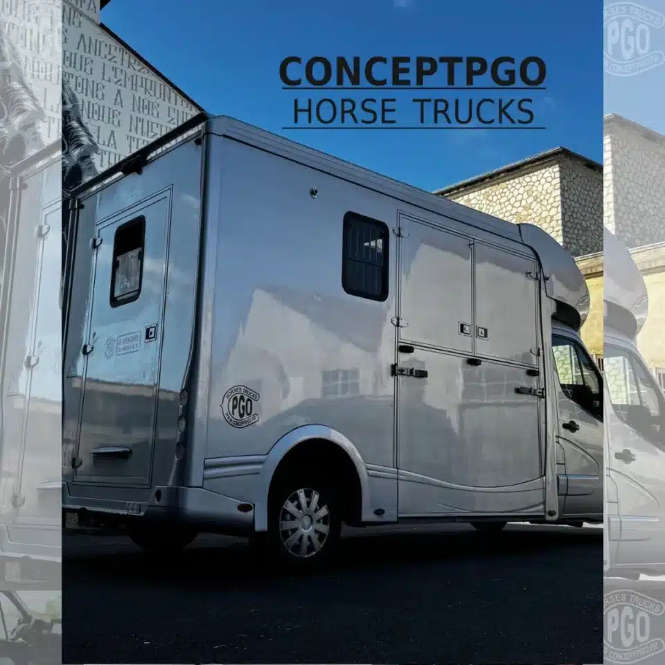 Camion Chevaux Renault Master 3 Places – Image 2