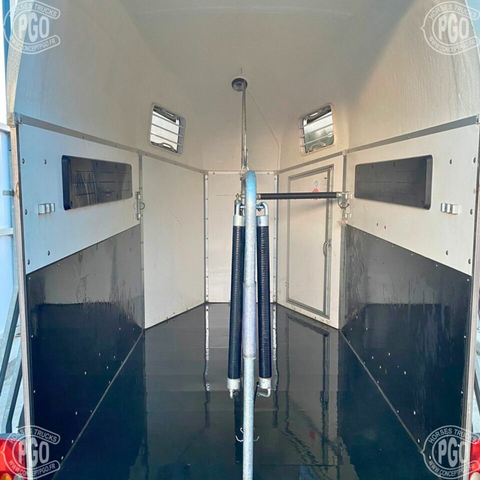 Van Chevaux Bockmann Duo – Année 2017 – Image 3