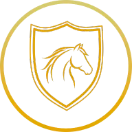 Sécurité optimisée des chevaux dans les camions CONCEPTPGO avec caisses renforcées et ventilation
