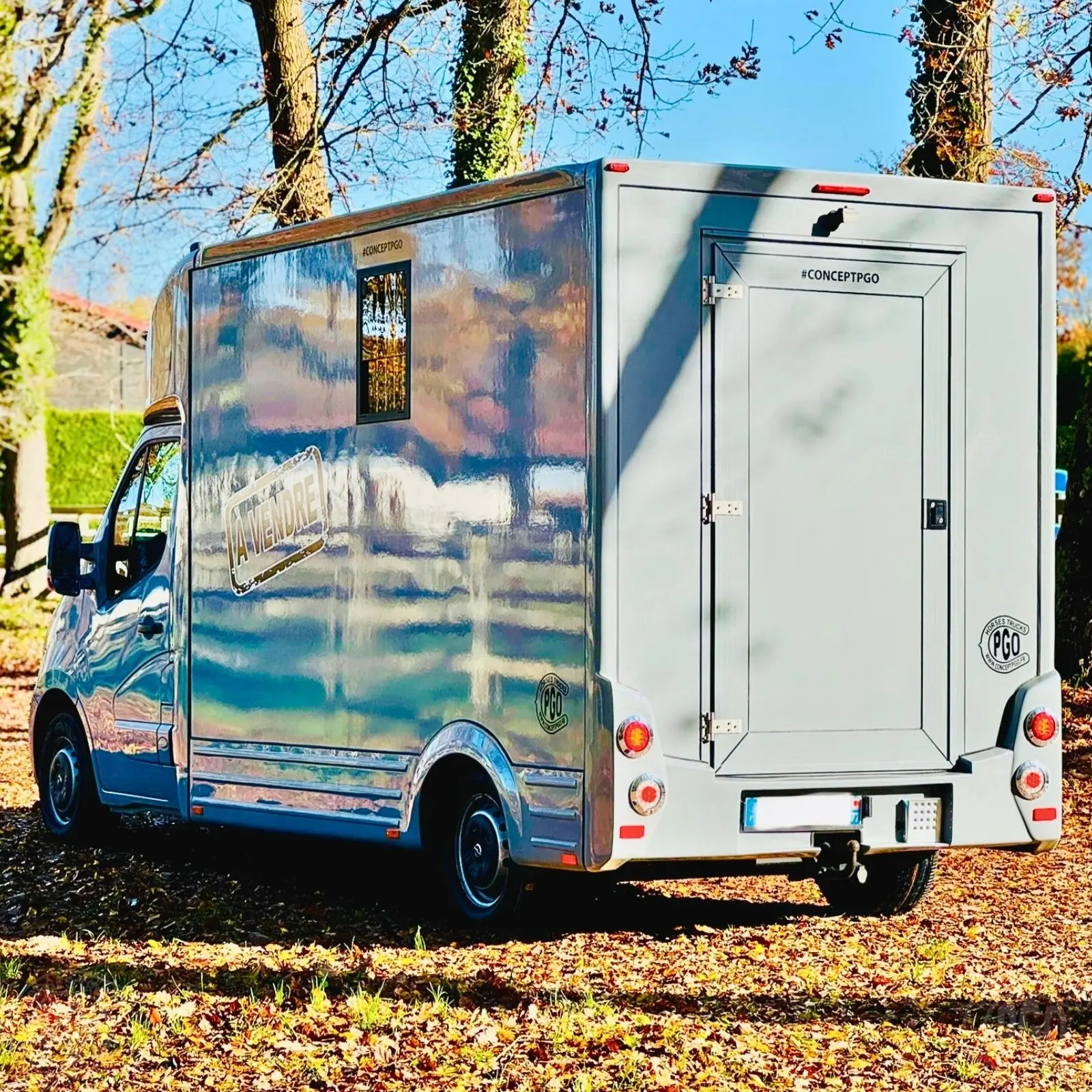 CPGO PRO 3 camion chevaux VL 2 places permis B, vue 4